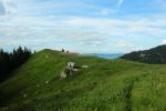 2014-07-05_Laengental-N-Hochweg (806). JPG